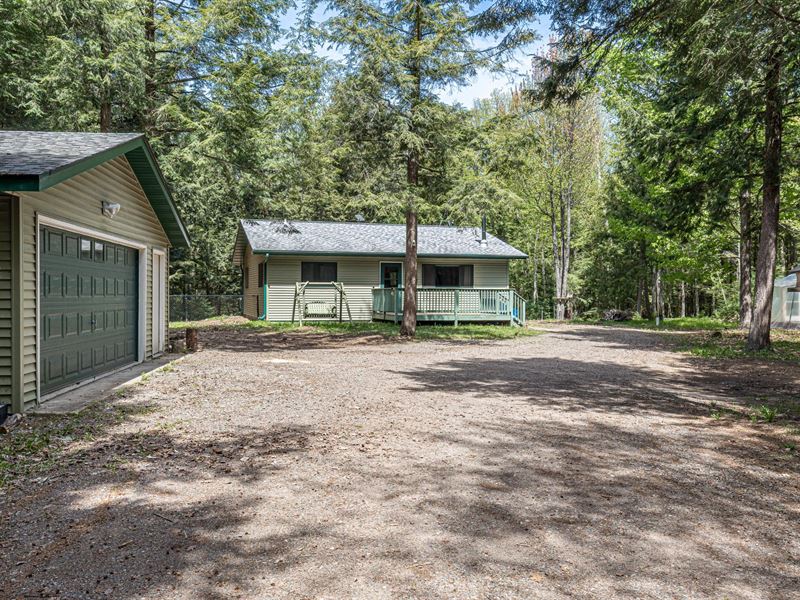 Wooded Minocqua Privacy : Minocqua : Oneida County : Wisconsin