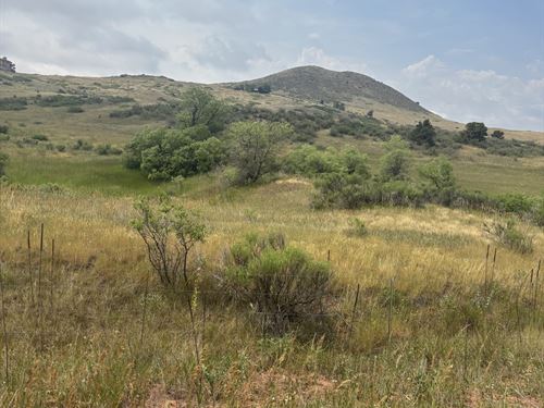 48 Acres 124 Springs Ranch Rd : Laporte : Larimer County : Colorado