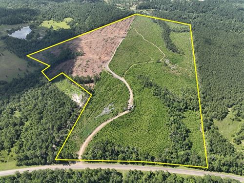 125 Acres, T-3, Highway 63, 2870 : Burkeville : Newton County : Texas