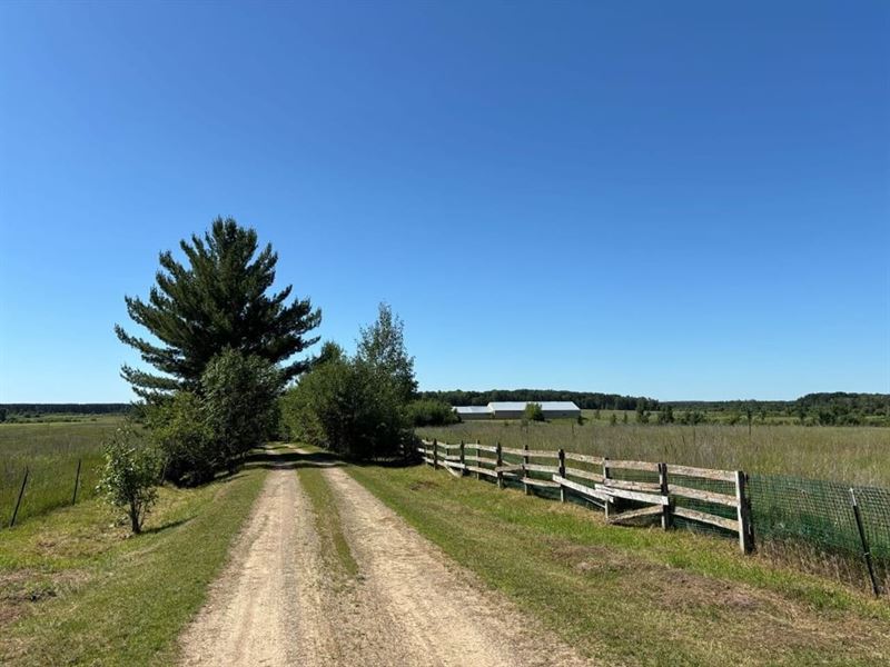 Cass County Minnesota Horse Ranch : Verndale : Cass County : Minnesota
