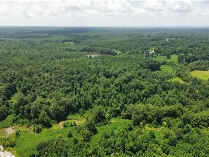 75.9 Acres in Tallahatchie County : Cascilla : Tallahatchie County : Mississippi