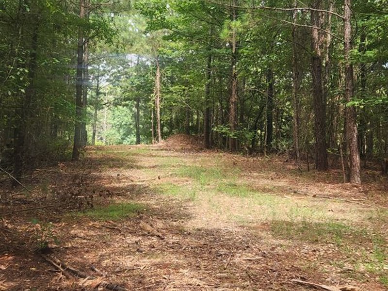 Fletcher Farms 3 : Forsyth : Monroe County : Georgia
