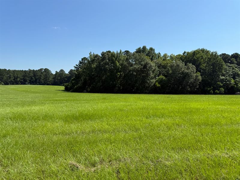 High Score 97 : Ariton : Dale County : Alabama