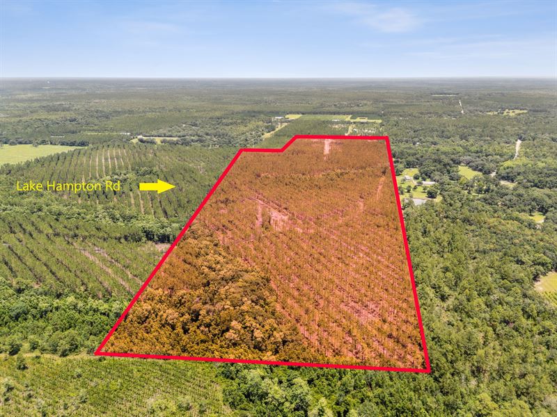 Bray Tract Lot 2 : Hilliard : Nassau County : Florida