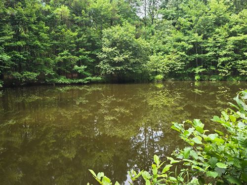 56 Acres In Choctaw County, MS : Stewart : Choctaw County : Mississippi