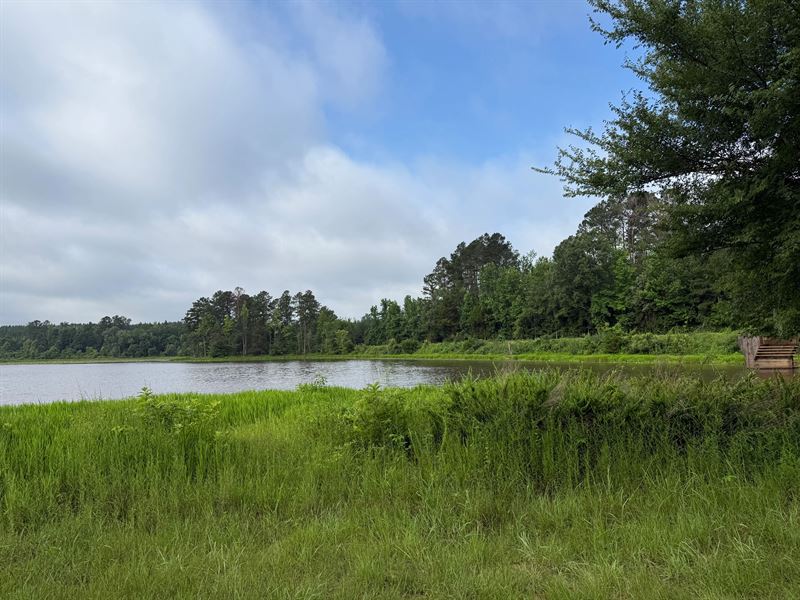 145 Acres in Montgomery County, MS : Duck Hill : Montgomery County : Mississippi