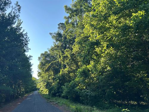 30 Acres Panola County, MS : Crenshaw : Panola County : Mississippi