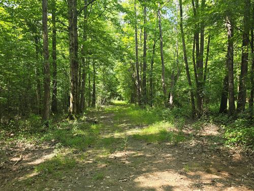 85 Acres In Montgomery County, MS : French Camp : Montgomery County : Mississippi