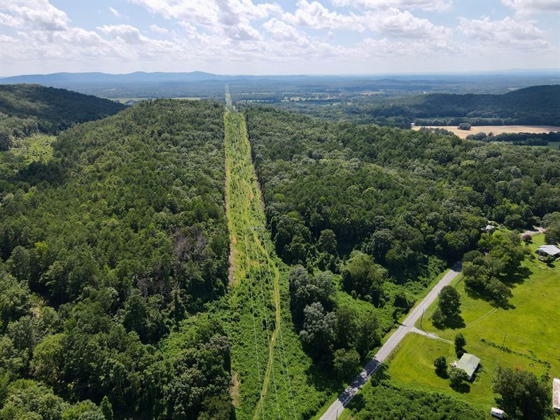 38 Acres Talladega County : Alpine : Talladega County : Alabama