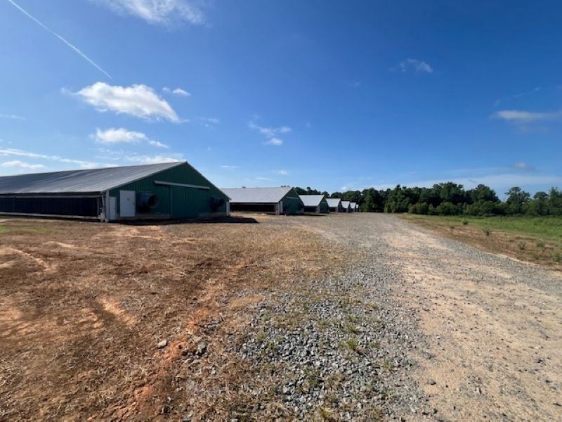 Vina Broiler Farm : Coolidge : Colquitt County : Georgia