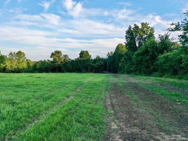 58 Acres Lagrange Road : Leighton : Colbert County : Alabama