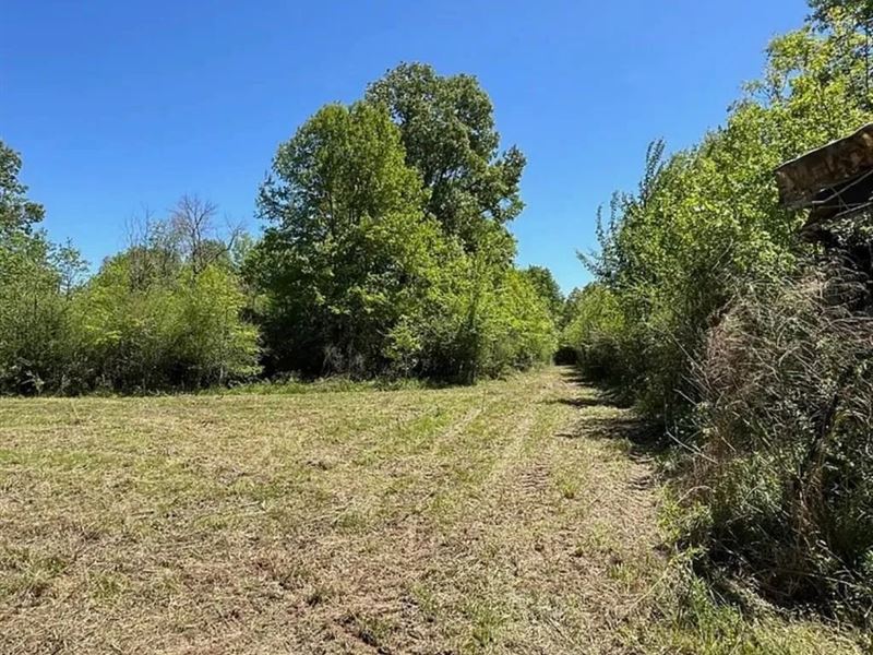 Hunting Land for Sale Near Gloster : Gloster : Amite County : Mississippi
