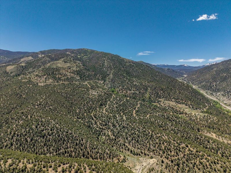 Untamed Colorado Legacy Land : Poncha Springs : Chaffee County : Colorado