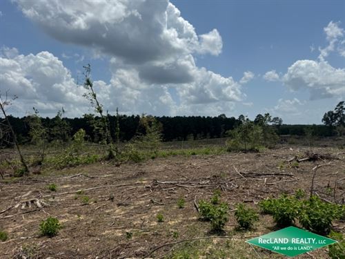 45 Ac, Wooded Home Site : Quitman : Jackson Parish : Louisiana