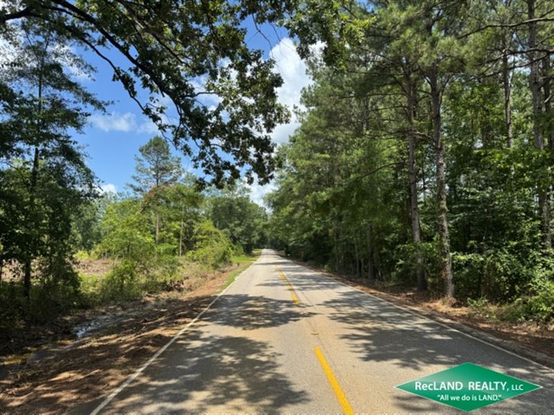 45 Ac, Wooded Home Site : Quitman : Jackson Parish : Louisiana