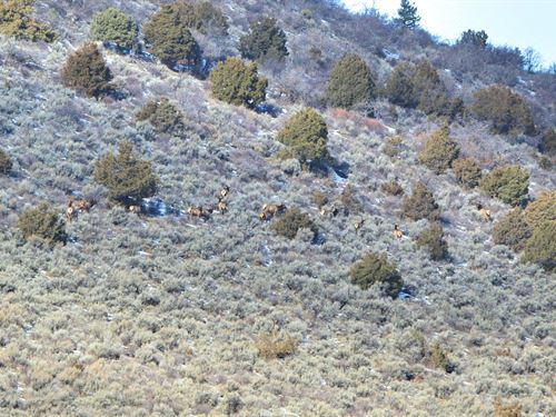 Oak Meadows Ranch : Meeker : Rio Blanco County : Colorado