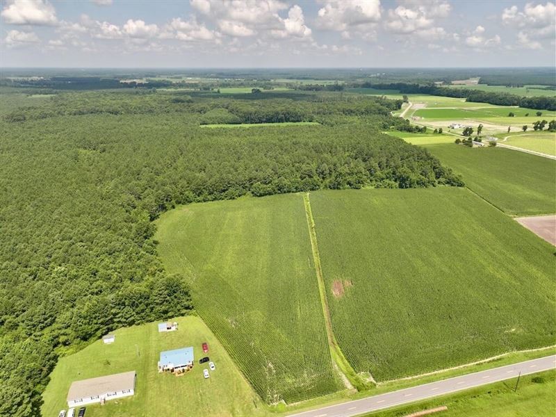 10.91 Acres of Re : Snow Hill : Greene County : North Carolina