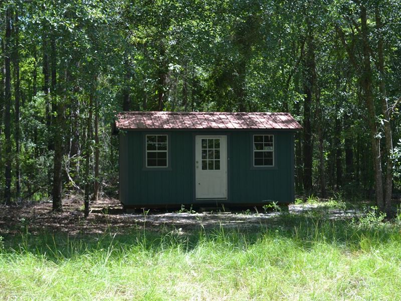 Ripley Woods : Dry Branch : Twiggs County : Georgia