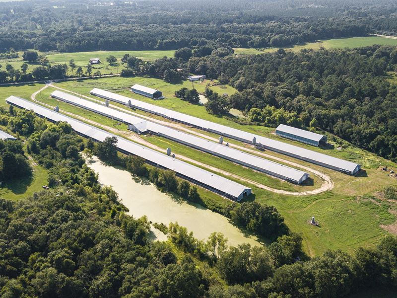 Coolidge, GA Poultry Breeder Farm : Coolidge : Thomas County : Georgia