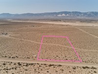 Cash Deal for Great 5 Acre : Lucerne Valley : San Bernardino County : California