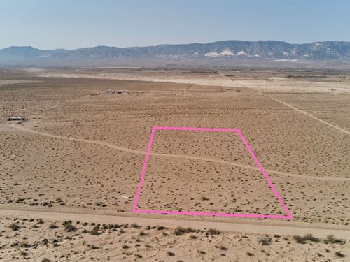 Cash Deal for Great 5 Acre : Lucerne Valley : San Bernardino County : California