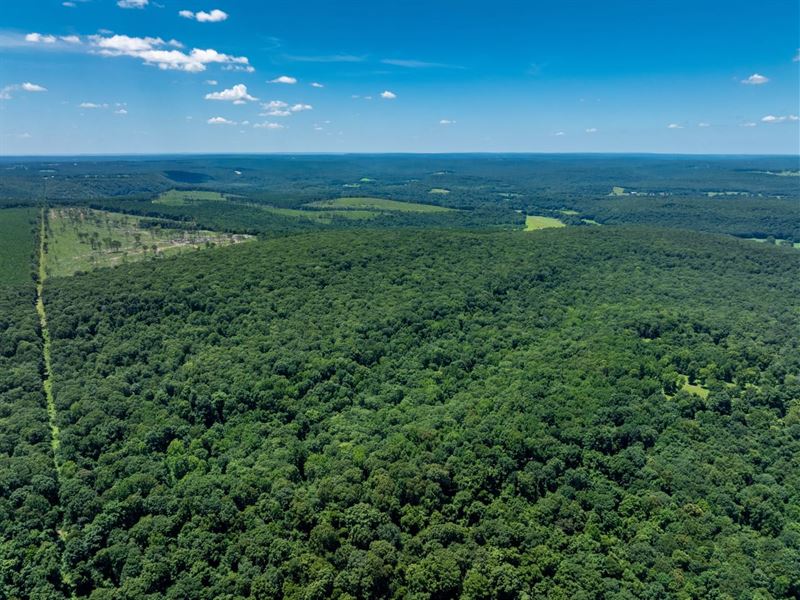 80 Acres, Mature Timber, No Eas : Batesville : Independence County : Arkansas