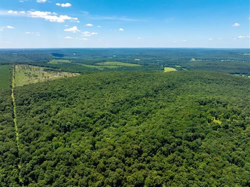 80 Acres, Mature Timber, No Eas : Batesville : Independence County : Arkansas
