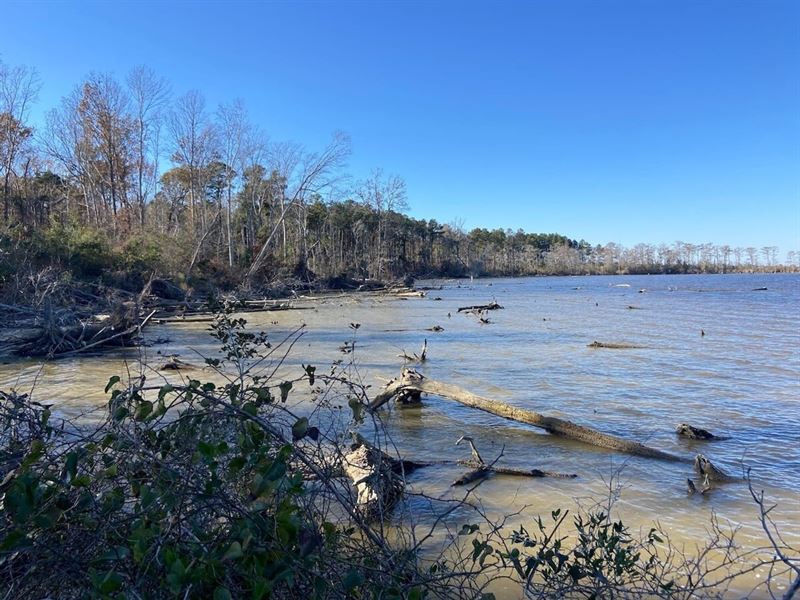 170 Acres of Farm Hunting and Devel : Elizabeth City : Pasquotank County : North Carolina