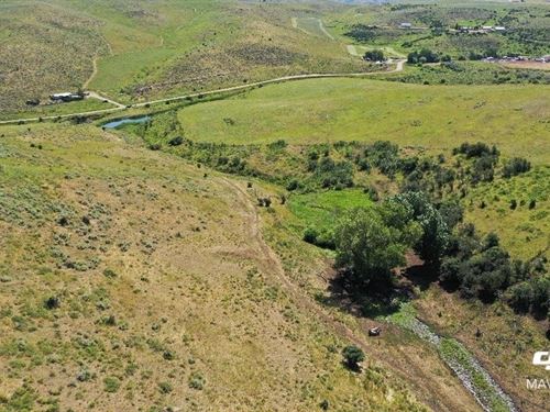 Shaw Ranch : Hayden : Routt County : Colorado