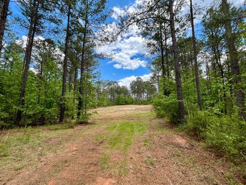 Rollin Mill Farm Tracts 5 & 6, 28.9 : Franklin : Heard County : Georgia