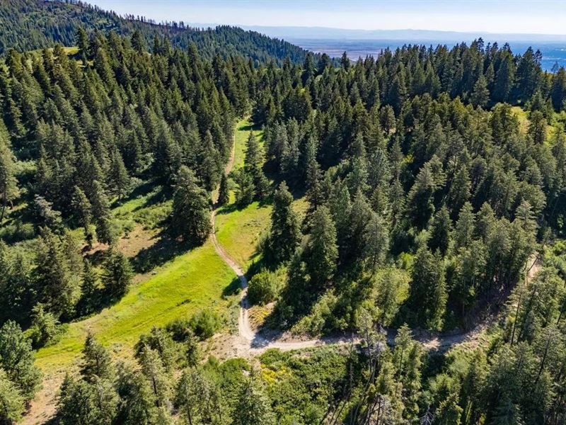 41 Acres in Ada County, ID : Boise : Ada County : Idaho