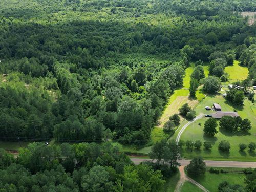 105 Acres in Winston County in Loui : Louisville : Winston County : Mississippi