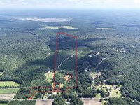 Large Wooded Tract, Pond, SC : Pamplico : Florence County : South Carolina