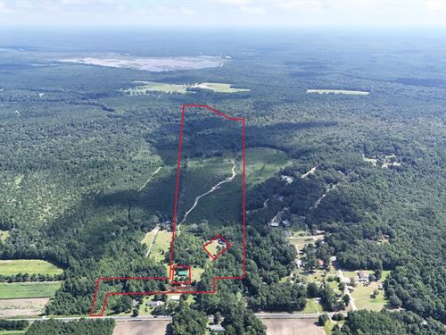 Large Wooded Tract, Pond, SC : Pamplico : Florence County : South Carolina