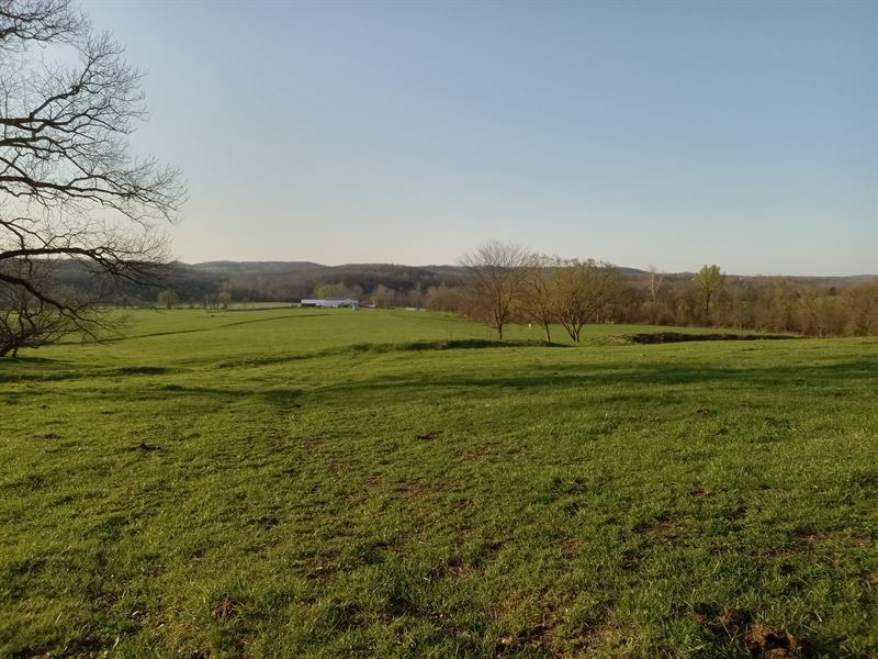 Beautiful Missouri Cattle Farm : Mansfield : Wright County : Missouri