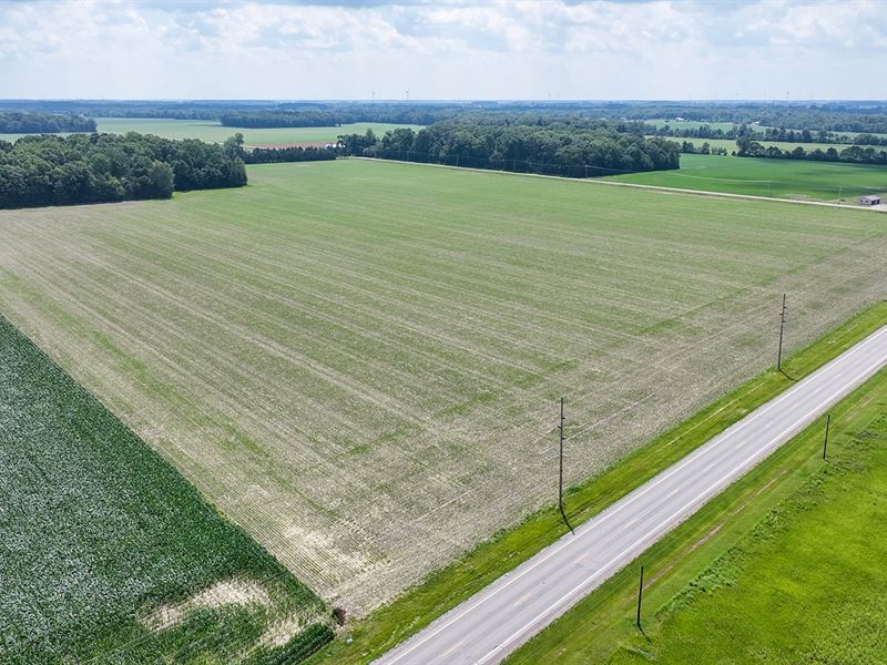 Land Auction, Paulding County Ohio : Antwerp : Paulding County : Ohio
