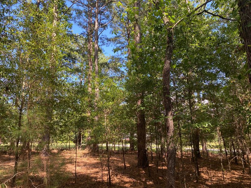 6.15 Acres On Sandy Springs Roa : Pelzer : Greenville County : South Carolina