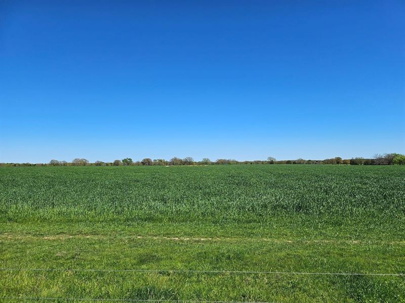 70 Acres Ranch / Recreational : Coleman : Atoka County : Oklahoma
