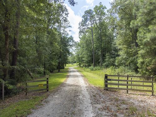 Recreational Tract Tift County : Tifton : Tift County : Georgia