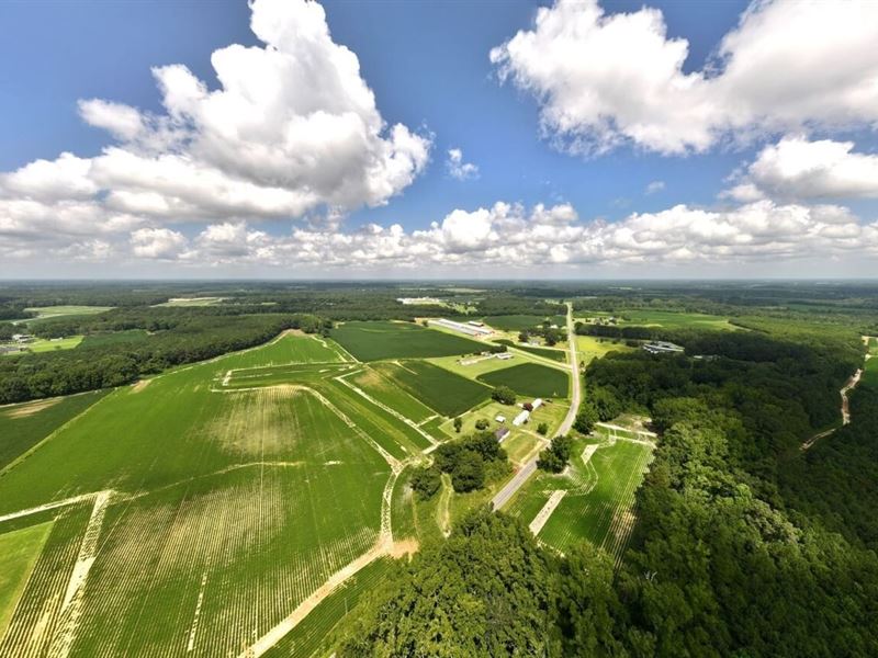51.49 Acres of Residential Agricult : Stantonsburg : Wilson County : North Carolina