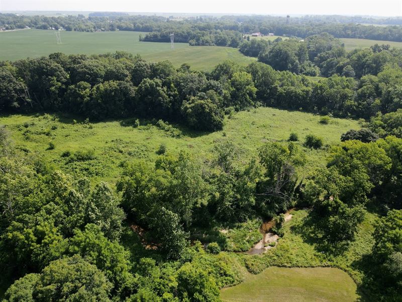20 Acre Building/Hunting Land Divid : Chrisman : Edgar County : Illinois
