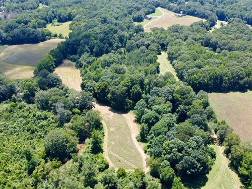 65 Acres in Carroll County, PA : Bowdon : Carroll County : Georgia