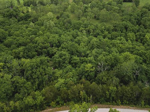 Unrestricted Acreage in Ozarks : Gainesville : Ozark County : Missouri