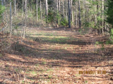 Family-sized Hunting Retreat : Gaffney : Cherokee County : South Carolina