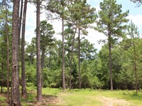 Liberty City Residential Estate : Notasulga : Tallapoosa County : Alabama