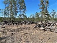 56 AC of Highway 34 Frontage : Piedmont : Wayne County : Missouri