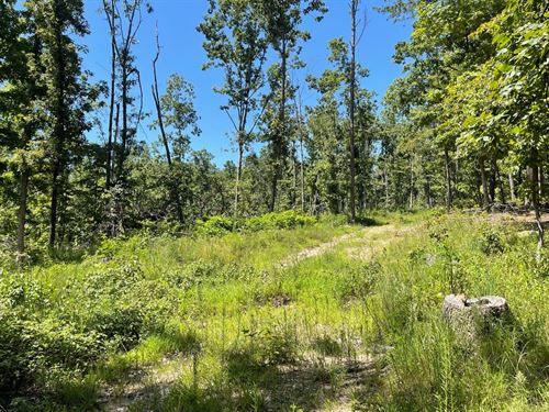 134 AC of Secluded Hunting Prope : Piedmont : Wayne County : Missouri