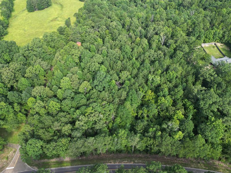 6.85 Acres Rankin County, MS : Brandon : Rankin County : Mississippi