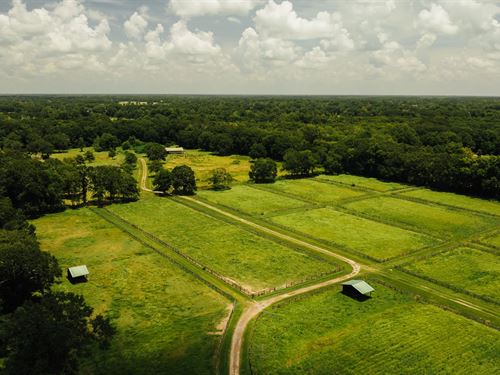 38 Acres In Lafayette Parish, LA : Carencro : Lafayette Parish : Louisiana