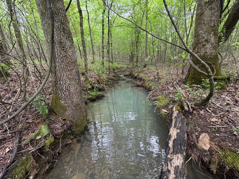 Tract 3, Hopper 87 : Caddo Gap : Montgomery County : Arkansas